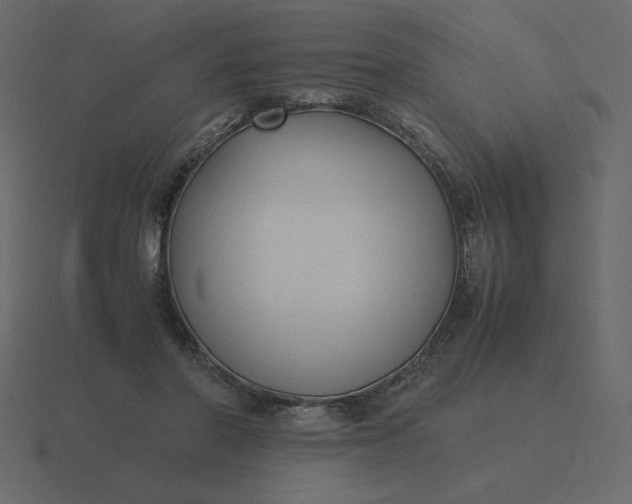 X0000116580406200912241658