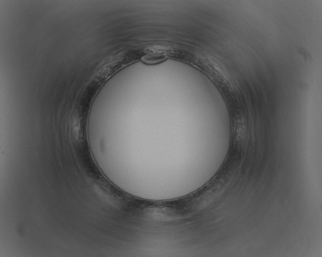 X0000116580408200912241658