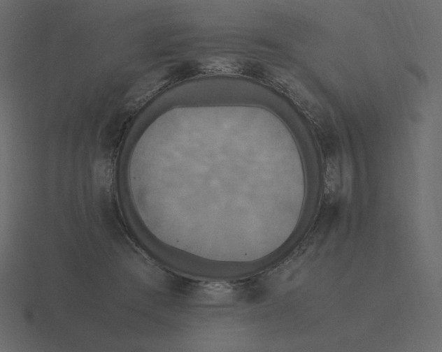 X0000116580409200912241658