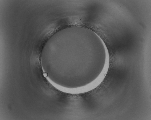 X0000116580415200912241658