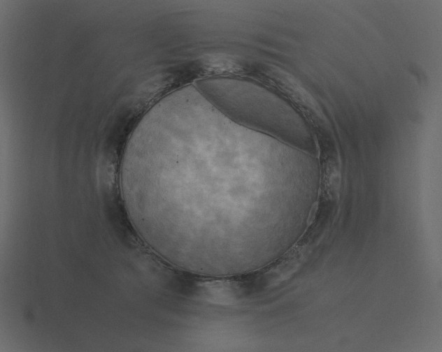 X0000116580417200912241658