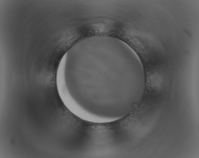 X0000116580419200912241658