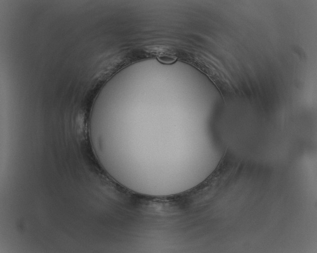 X0000116580420200912241658