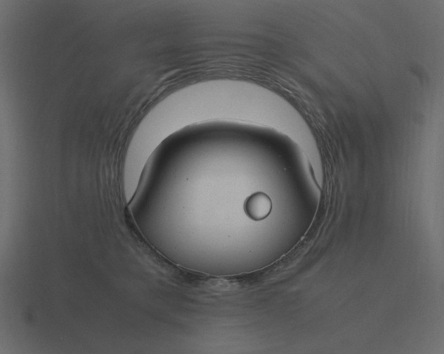 X0000116580421200912241658