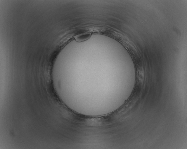 X0000116580422200912241658