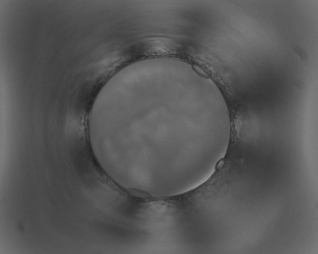 X0000116580423200912241658