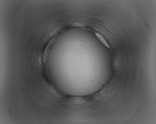 X0000116580424200912241658