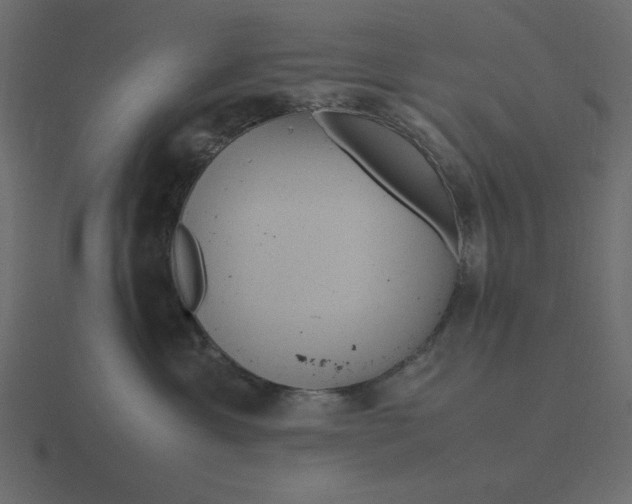 X0000116580429200912241658