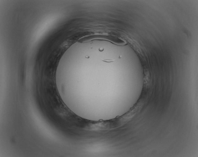 X0000116580430200912241658