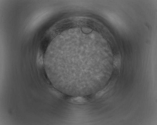 X0000116580431200912241658