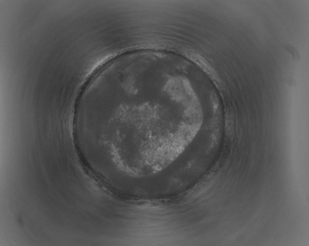 X0000116580434200912241657