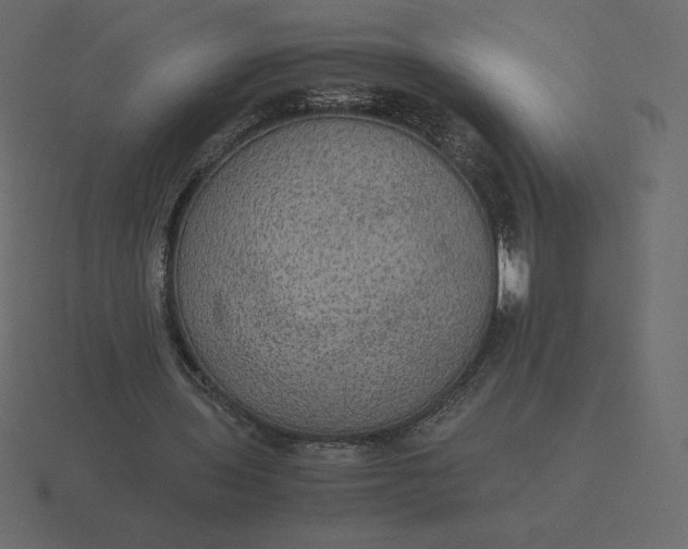 X0000116580435200912241657