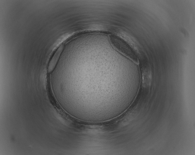 X0000116580436200912241657