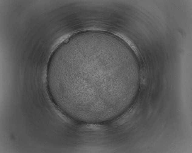 X0000116580437200912241657