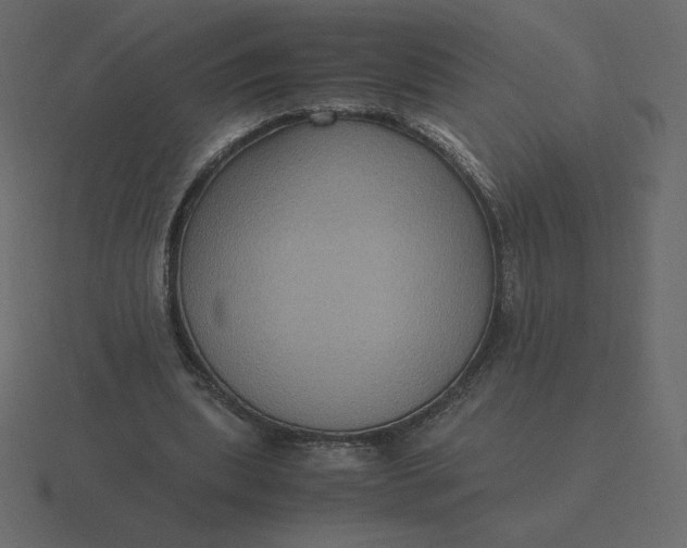 X0000116580439200912241657