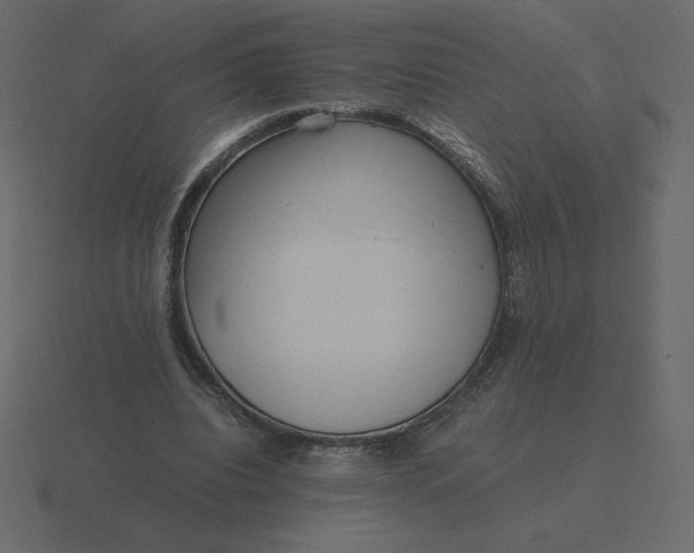 X0000116580440200912241657