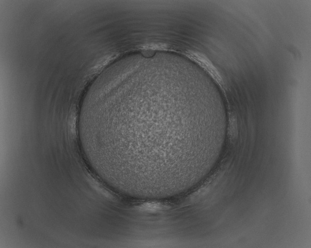 X0000116580441200912241657