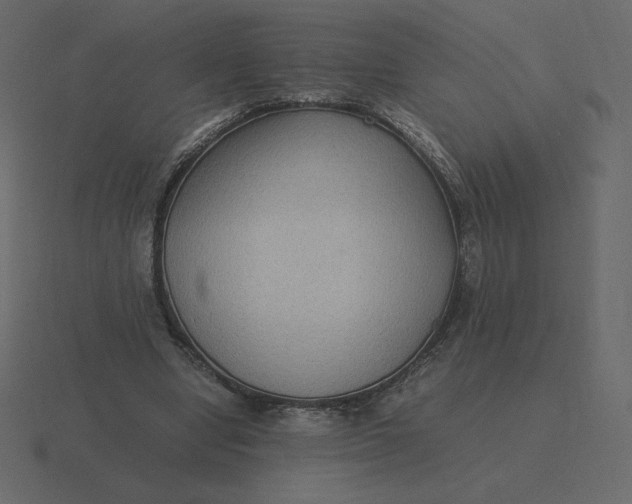 X0000116580442200912241657