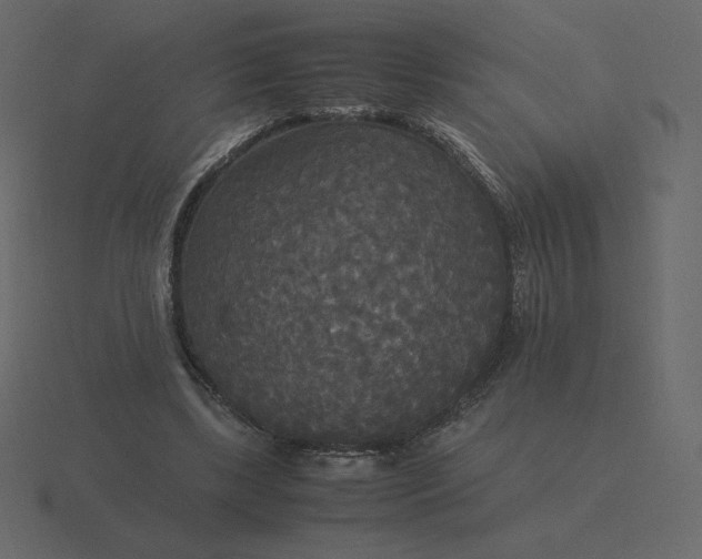 X0000116580443200912241657