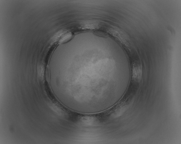 X0000116580444200912241657