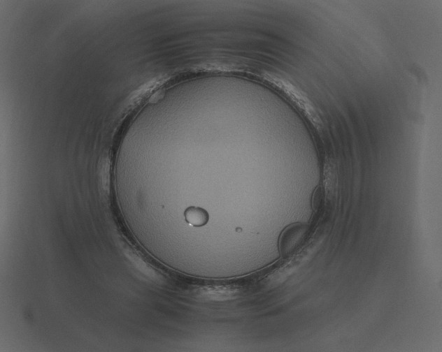 X0000116580445200912241657