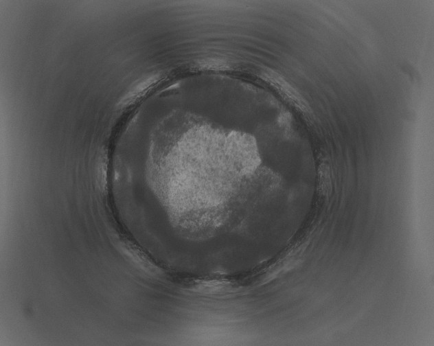 X0000116580446200912241657