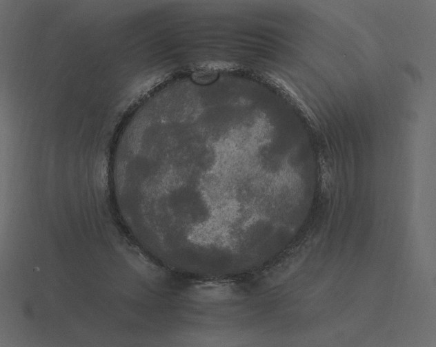 X0000116580447200912241657