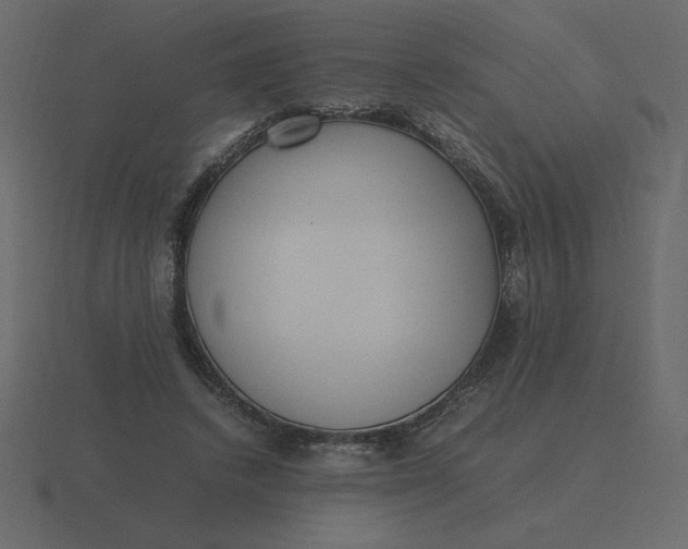 X0000116580448200912241657