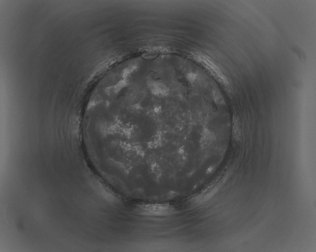 X0000116580449200912241657