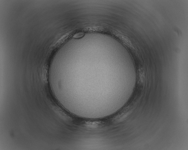 X0000116580450200912241657