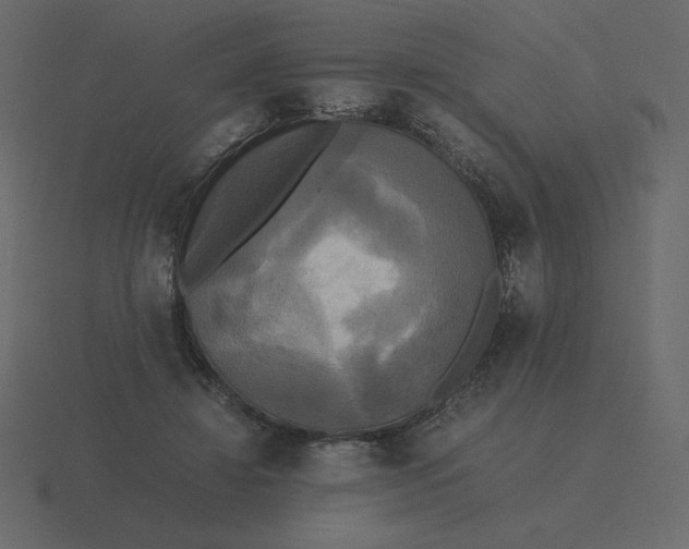 X0000116580452200912241657