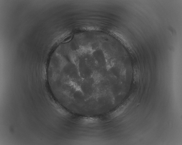 X0000116580453200912241657