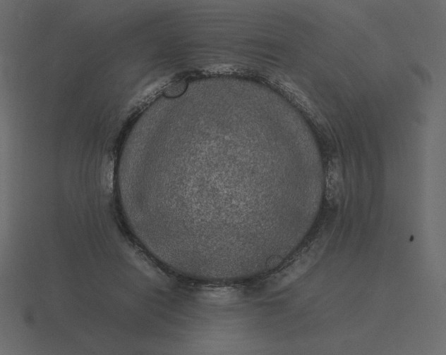 X0000116580454200912241657