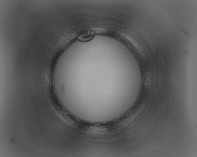 X0000116580455200912241657