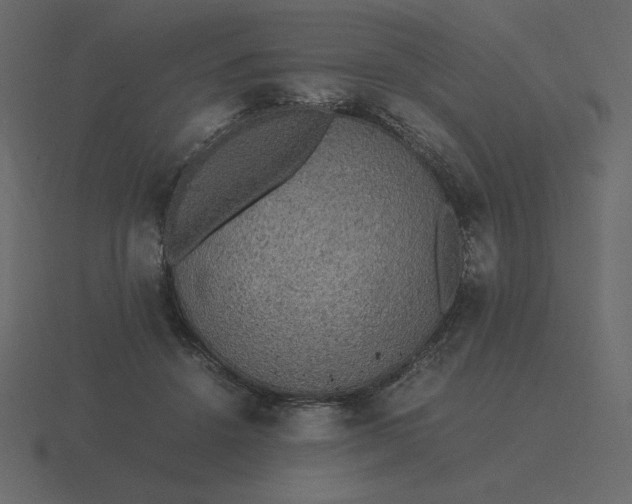 X0000116580456200912241657