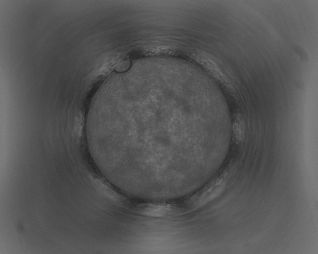 X0000116580458200912241657