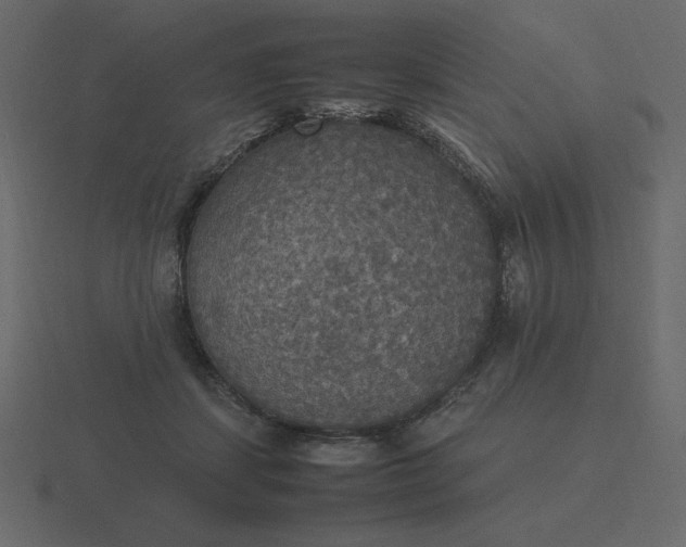 X0000116580459200912241657