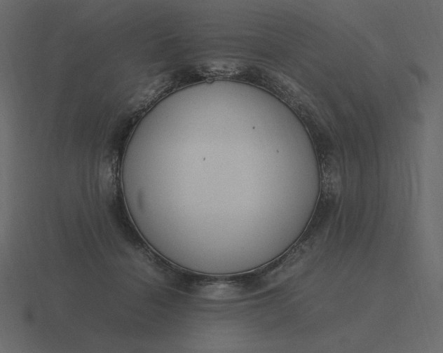 X0000116580460200912241657