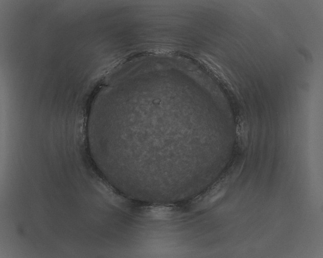 X0000116580462200912241657