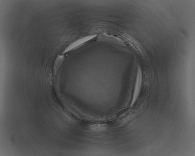 X0000116580465200912241657