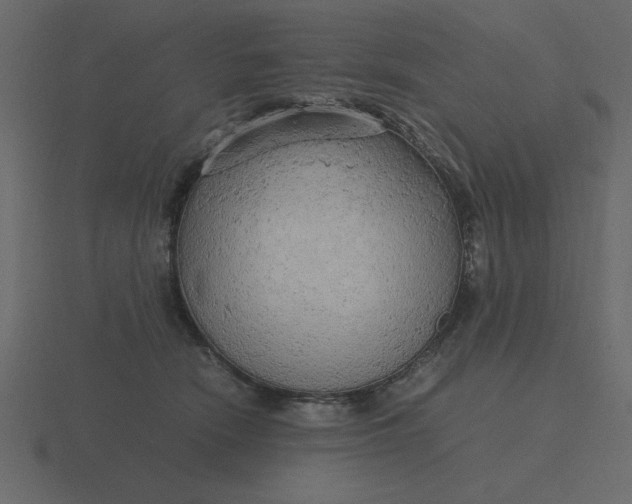 X0000116580466200912241657