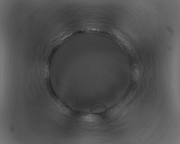 X0000116580467200912241657