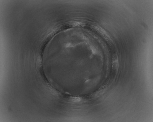 X0000116580469200912241657