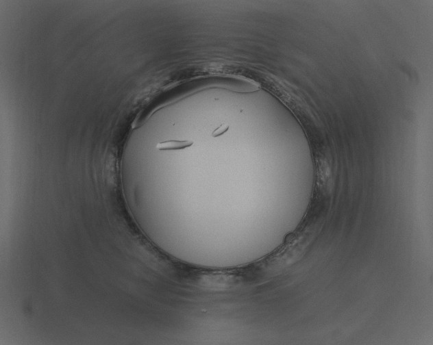 X0000116580470200912241657