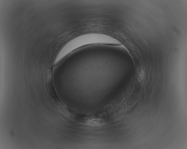 X0000116580471200912241657