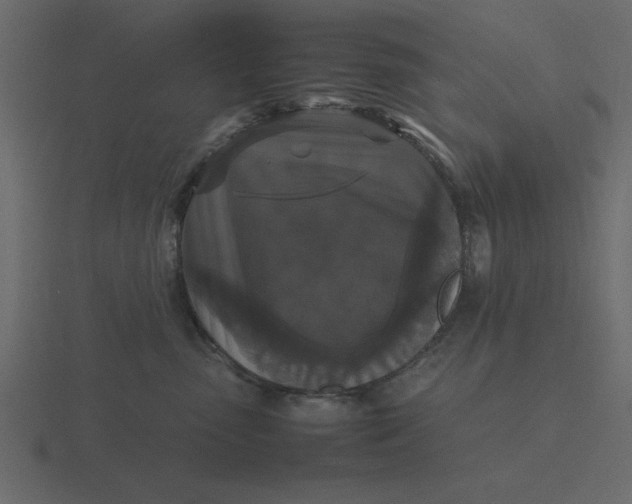 X0000116580475200912241657