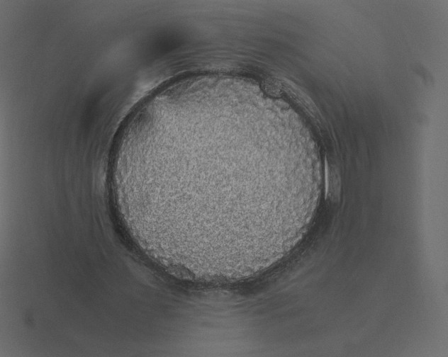 X0000116580483200912241657