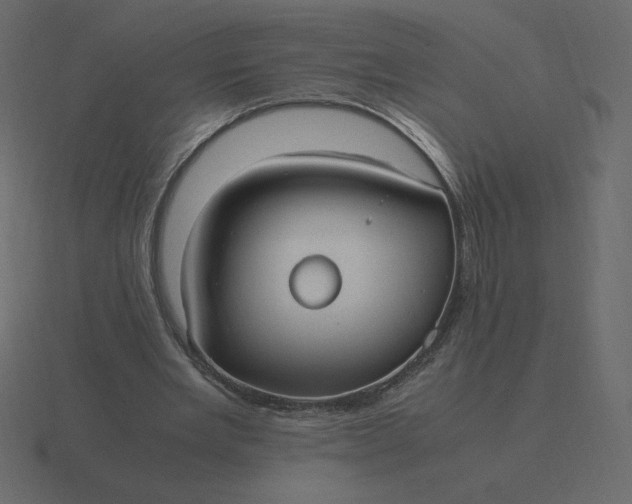 X0000116580485200912241657