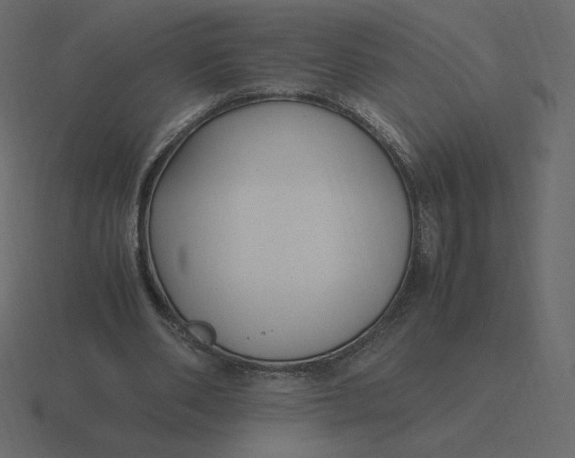 X0000116580486200912241657