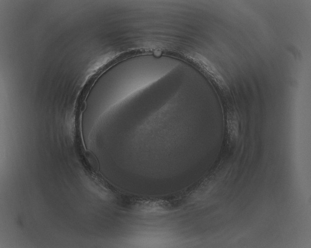 X0000116580488200912241657